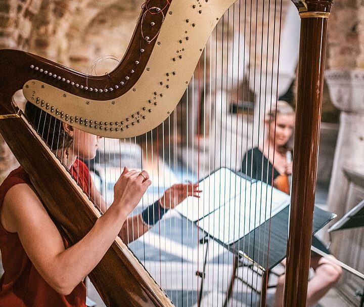 Walking down the aisle with harp music, it is dreamy!